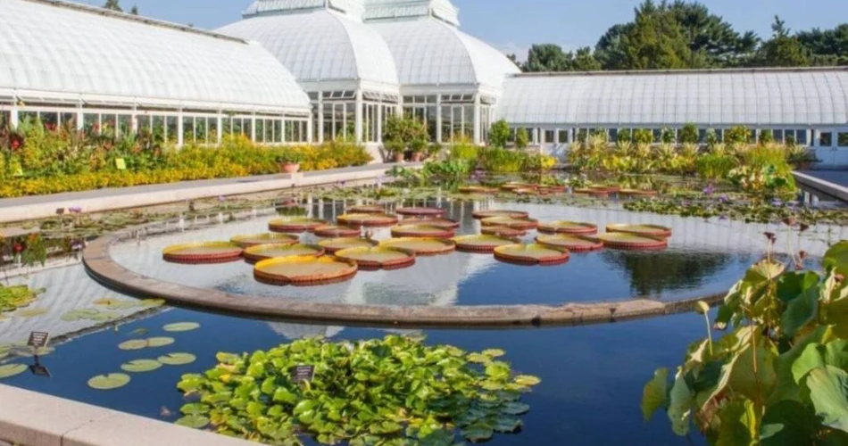 Top 10 Hotels Near Yankee Stadium: Perfect Stays for Baseball Fans